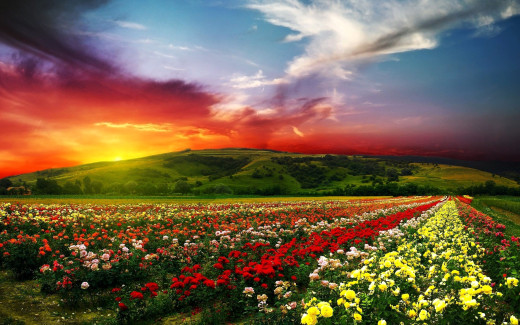 1742994 (a): :2560x1600
